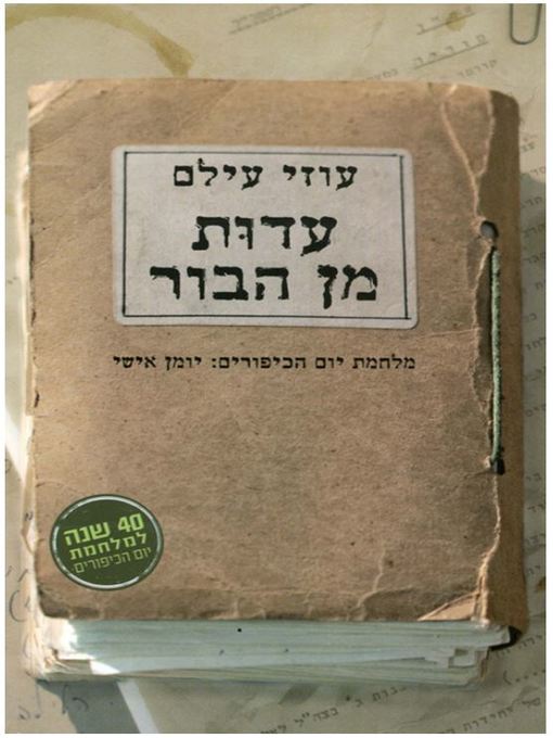 Cover of עדות מן הבור